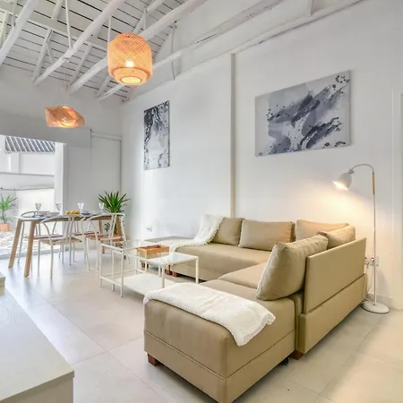 Private House Private Pool Private Andalusian Courtyard Bbq Near Historic Center Vakantiehuis *